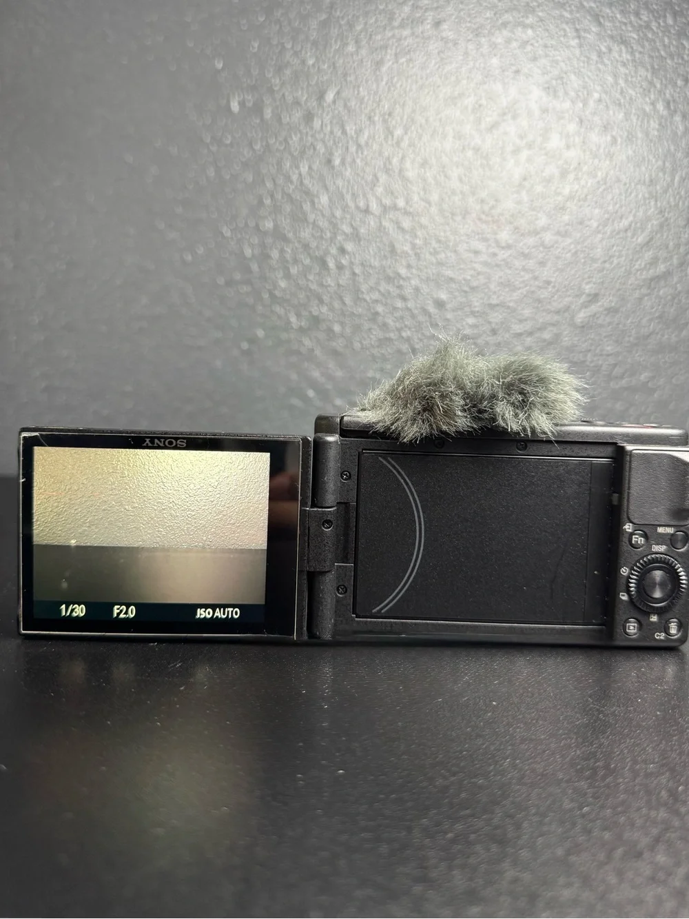 Sony Black Compact Digital Camera with Zeiss Lens and Wind Muff
